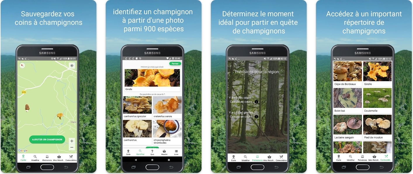 Champignouf Application Champignon