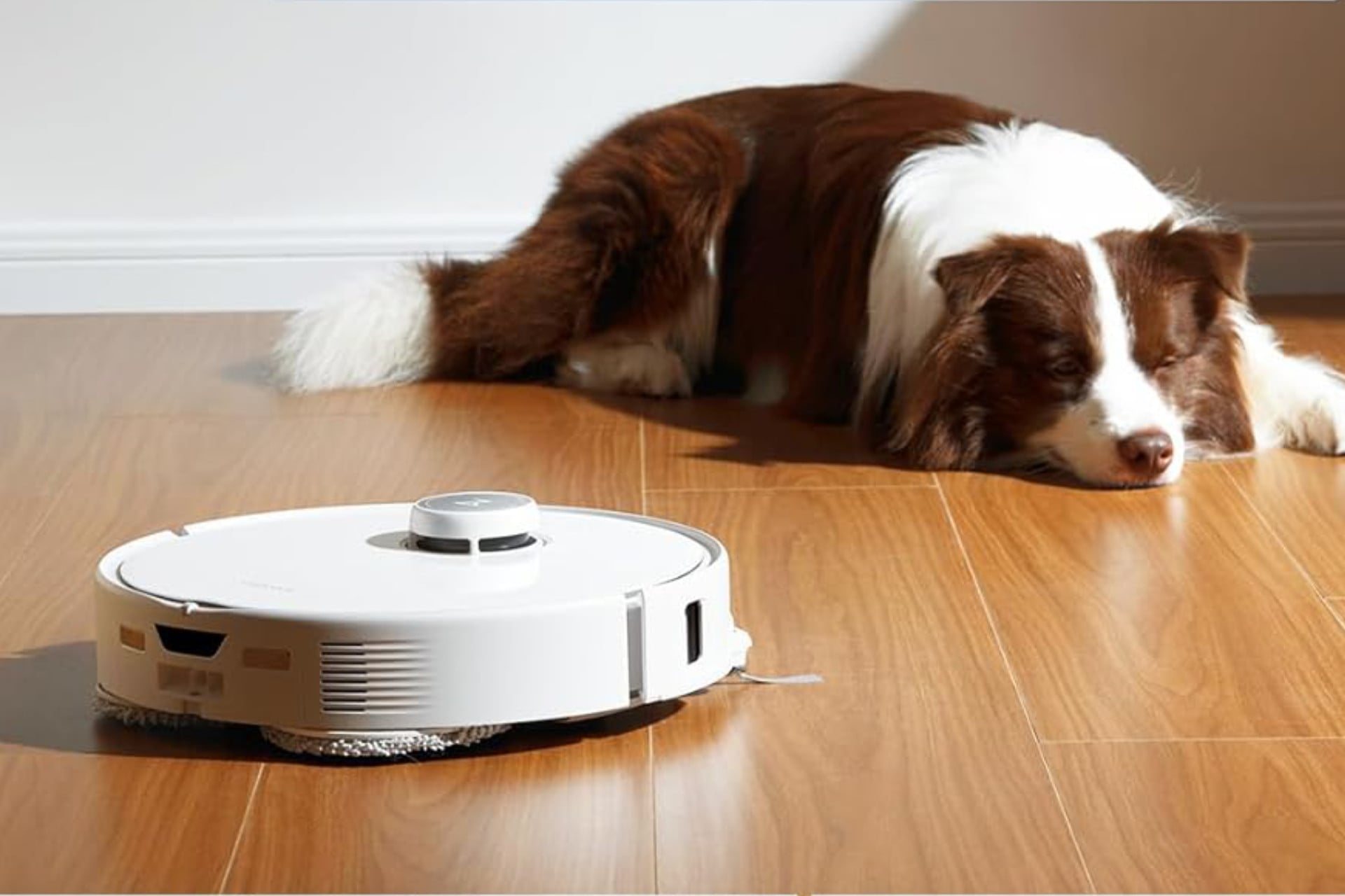 Roborock Qrevo Edge