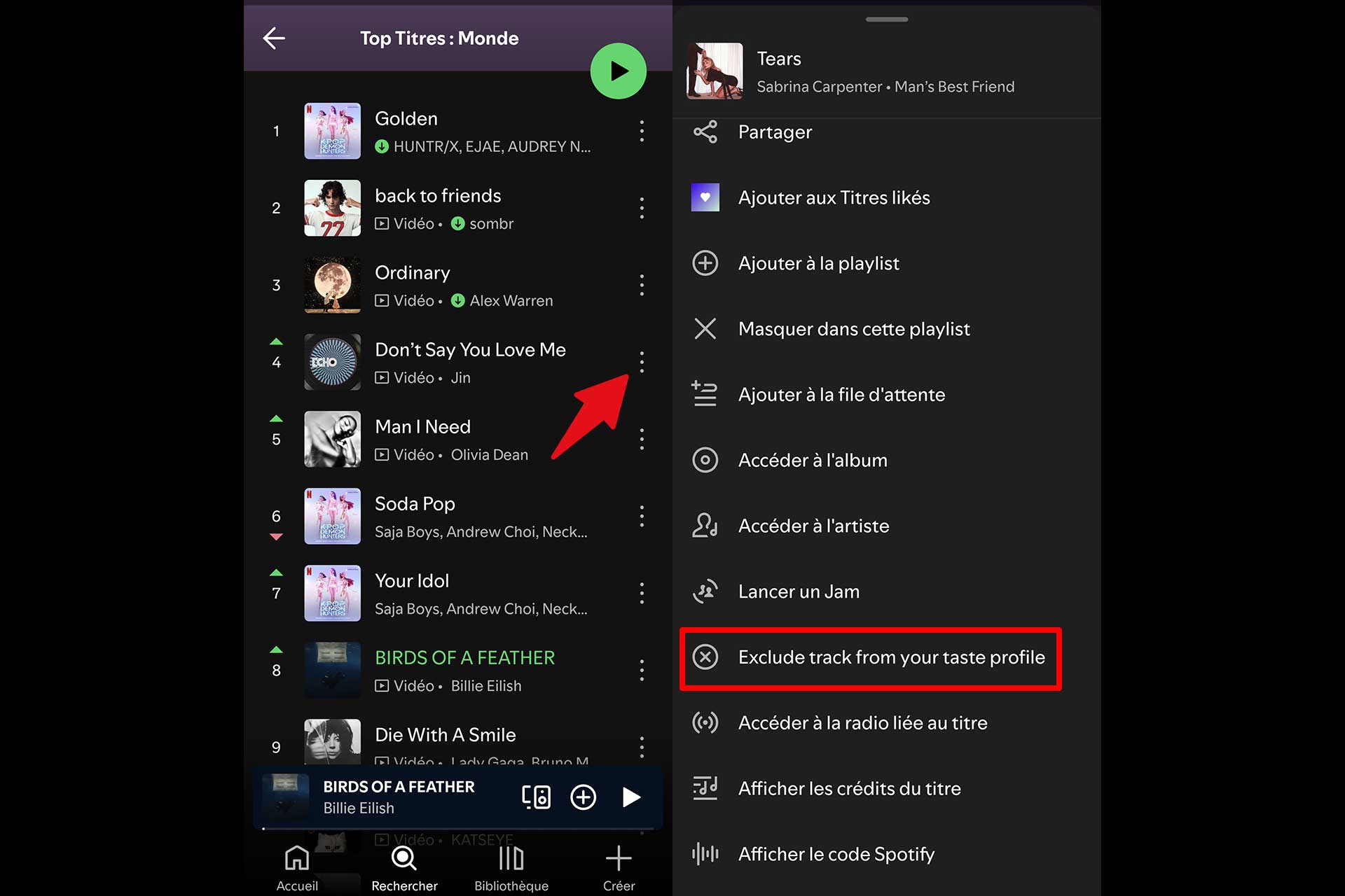 Spotify Exclure Titre Profil Sonore