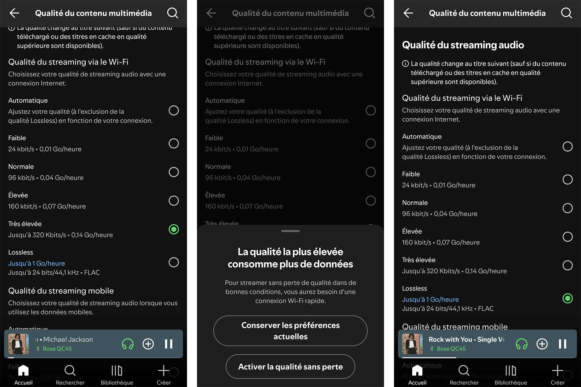 Spotify Qualite Lossless