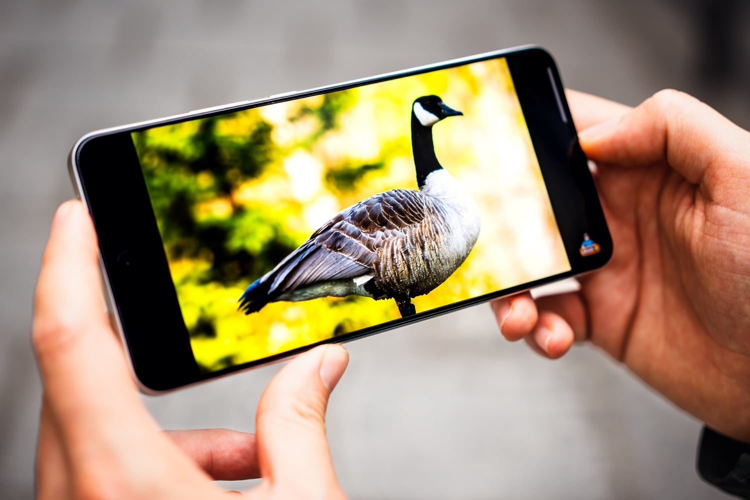 Oneplus Nord Ce 5 (1)