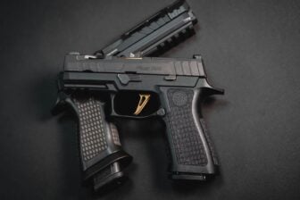 Armes Feu France Vols Données