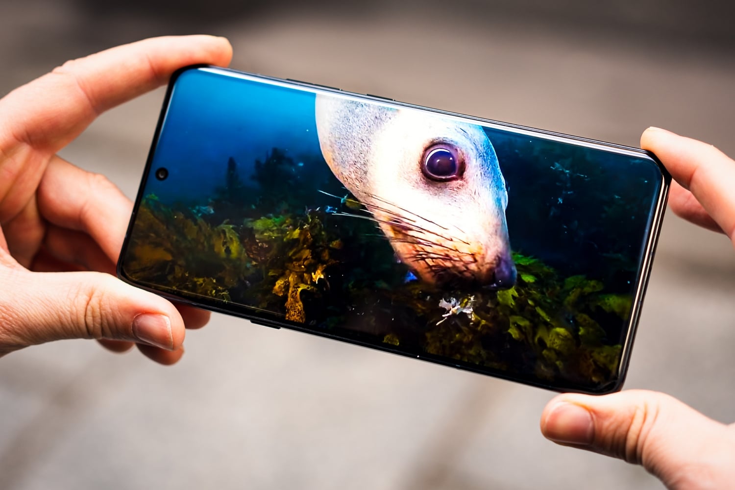 Motorola Signature (4)