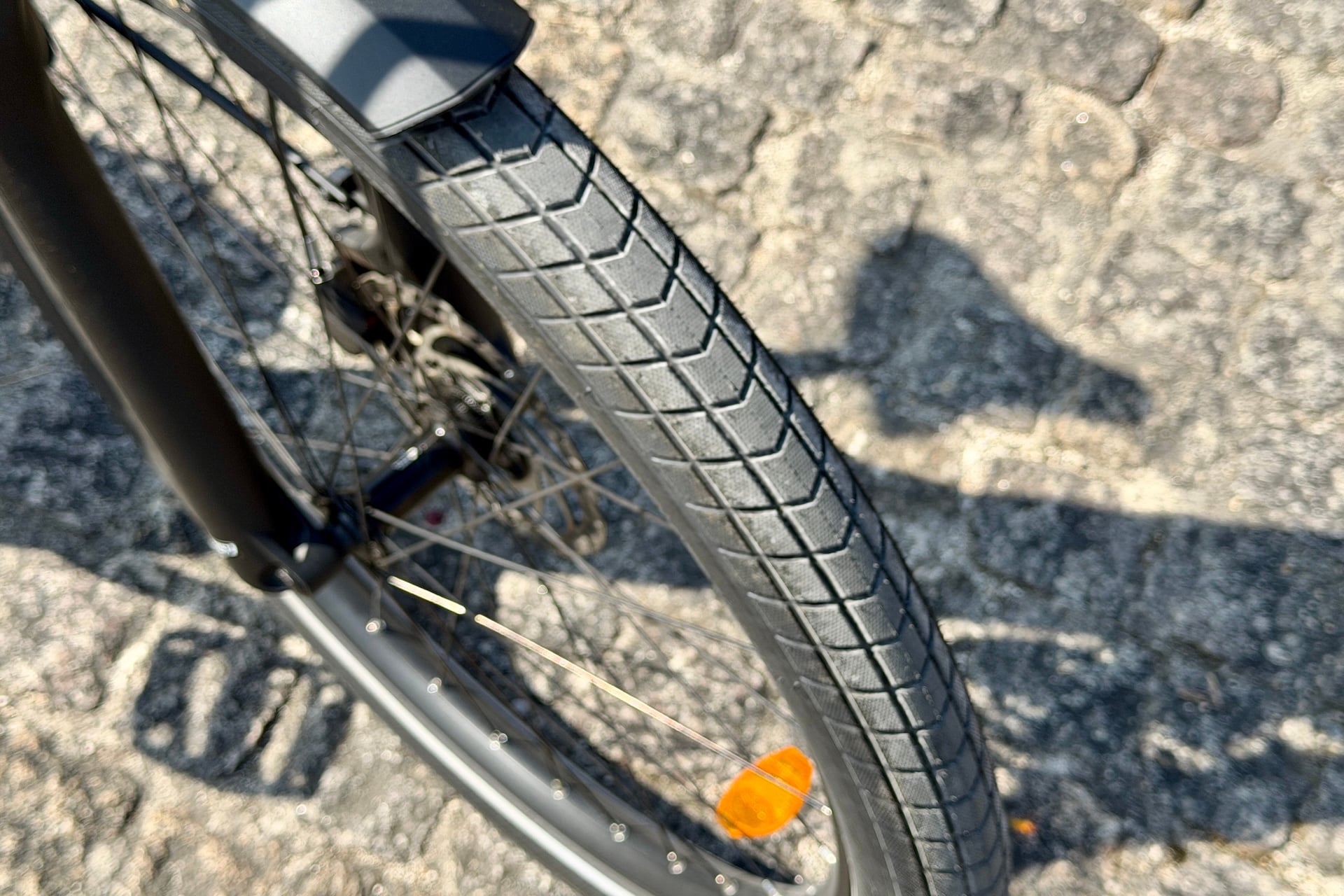 Moustache Mardi 27 6 Fs 12