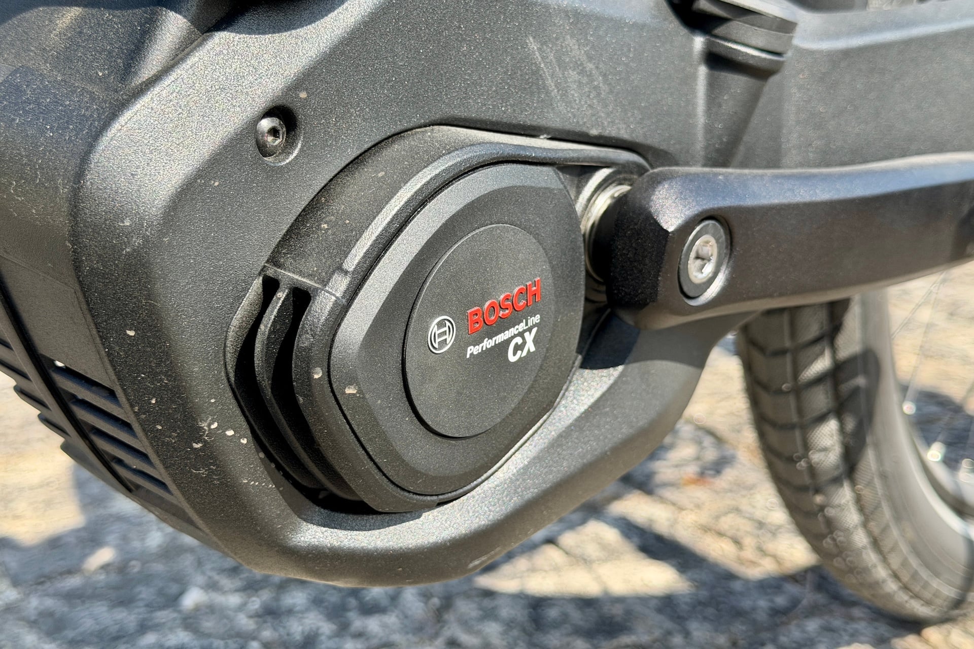 Moustache Mardi 27 6 Fs 31