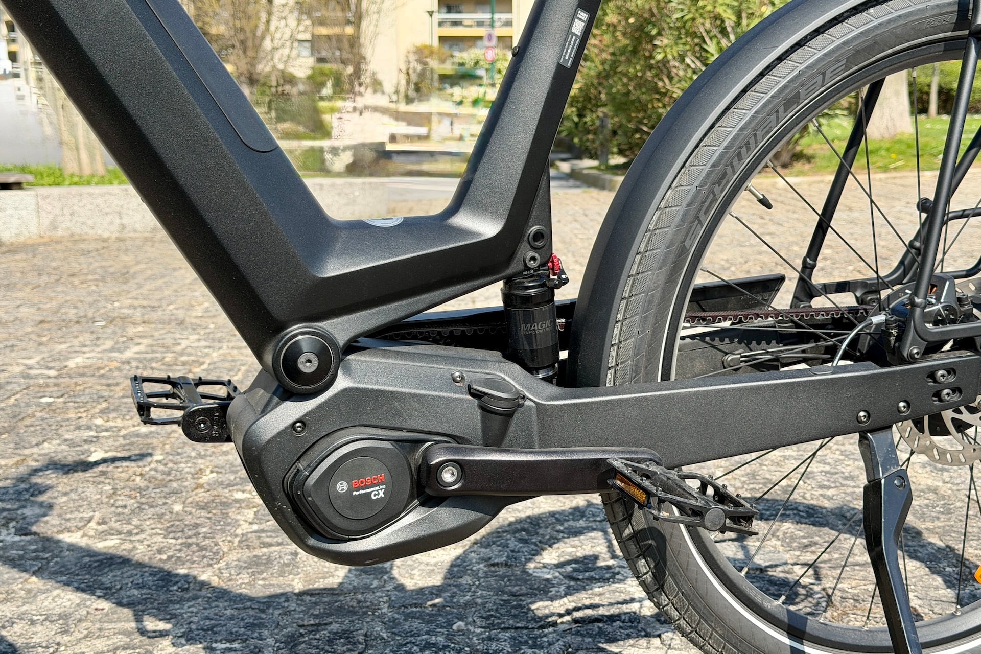 Moustache Mardi 27 6 Fs 32