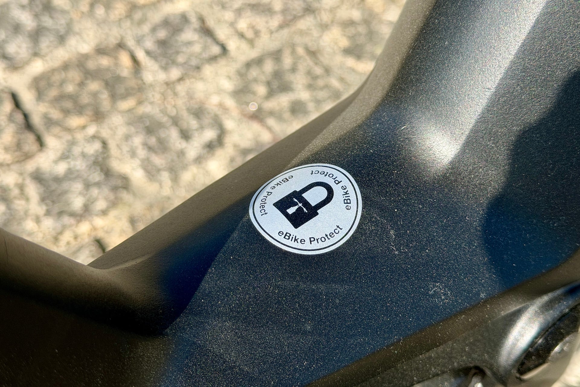 Moustache Mardi 27 6 Fs 8