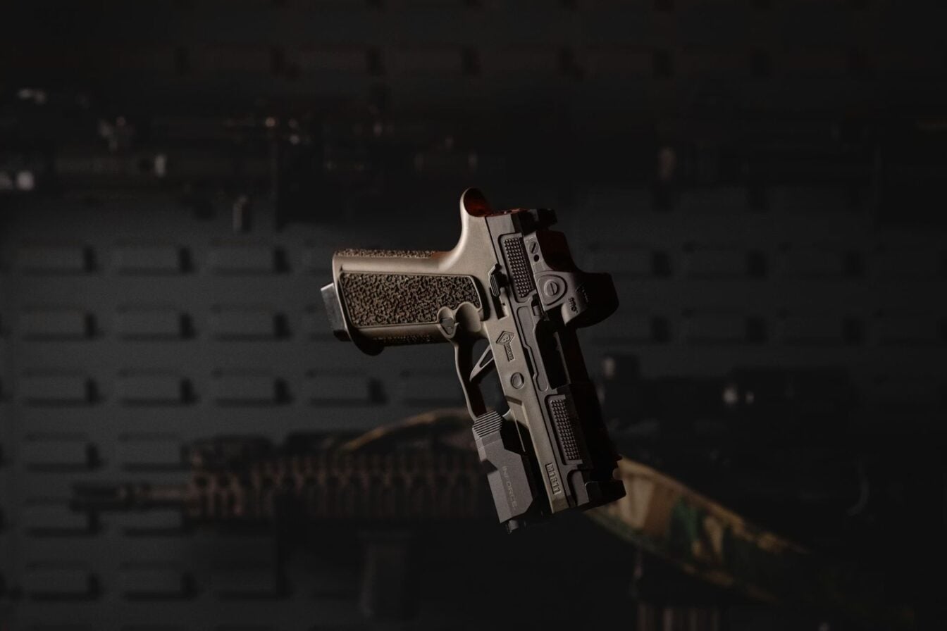 Une nouvelle fuite de données met en danger les détenteurs d’armes à feu en France