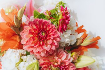 Hack Florajet Fuite Données