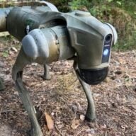 Chien robot en Ukraine
