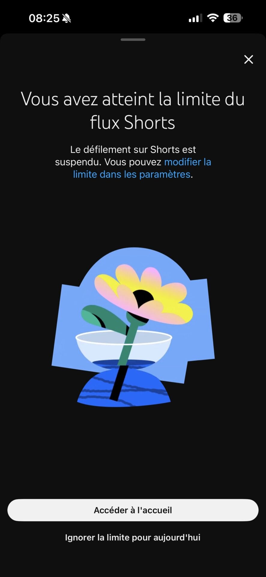 Désactiver Youtube Shorts 5