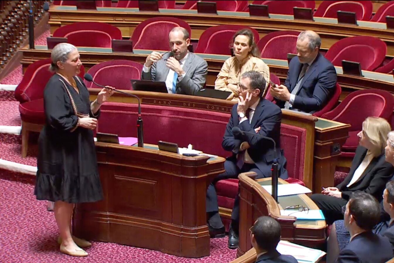 Laure Darcos Sénat Droit D'auteur Ia