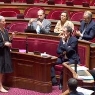 Laure Darcos Sénat Droit D'auteur Ia
