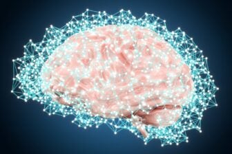 Cerveau, neurones et bits