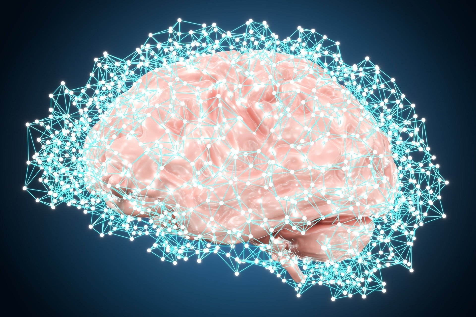 Cerveau, neurones et bits