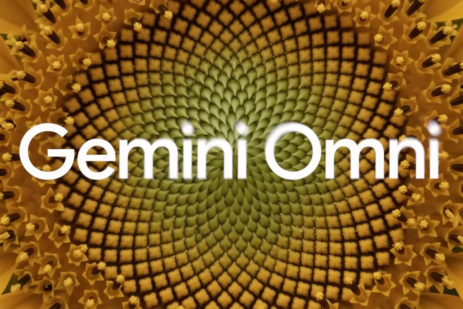 Gemini Omni