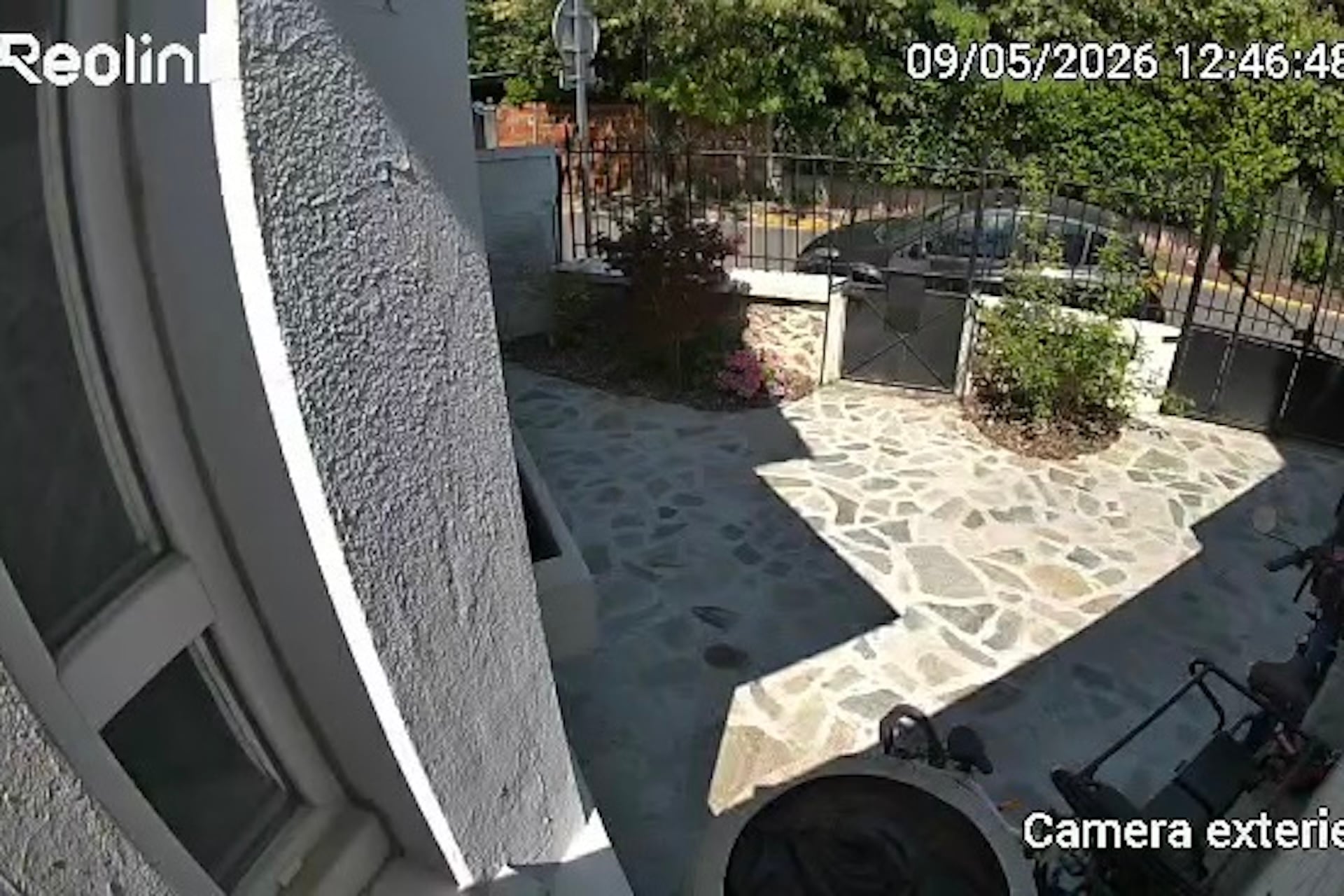 Reolink Solar Floodlight 7
