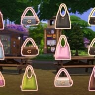 The Sims x Coach