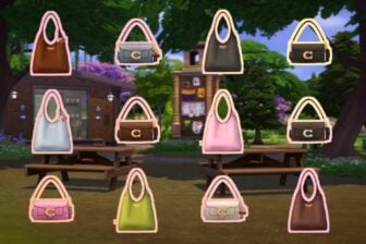 The Sims x Coach