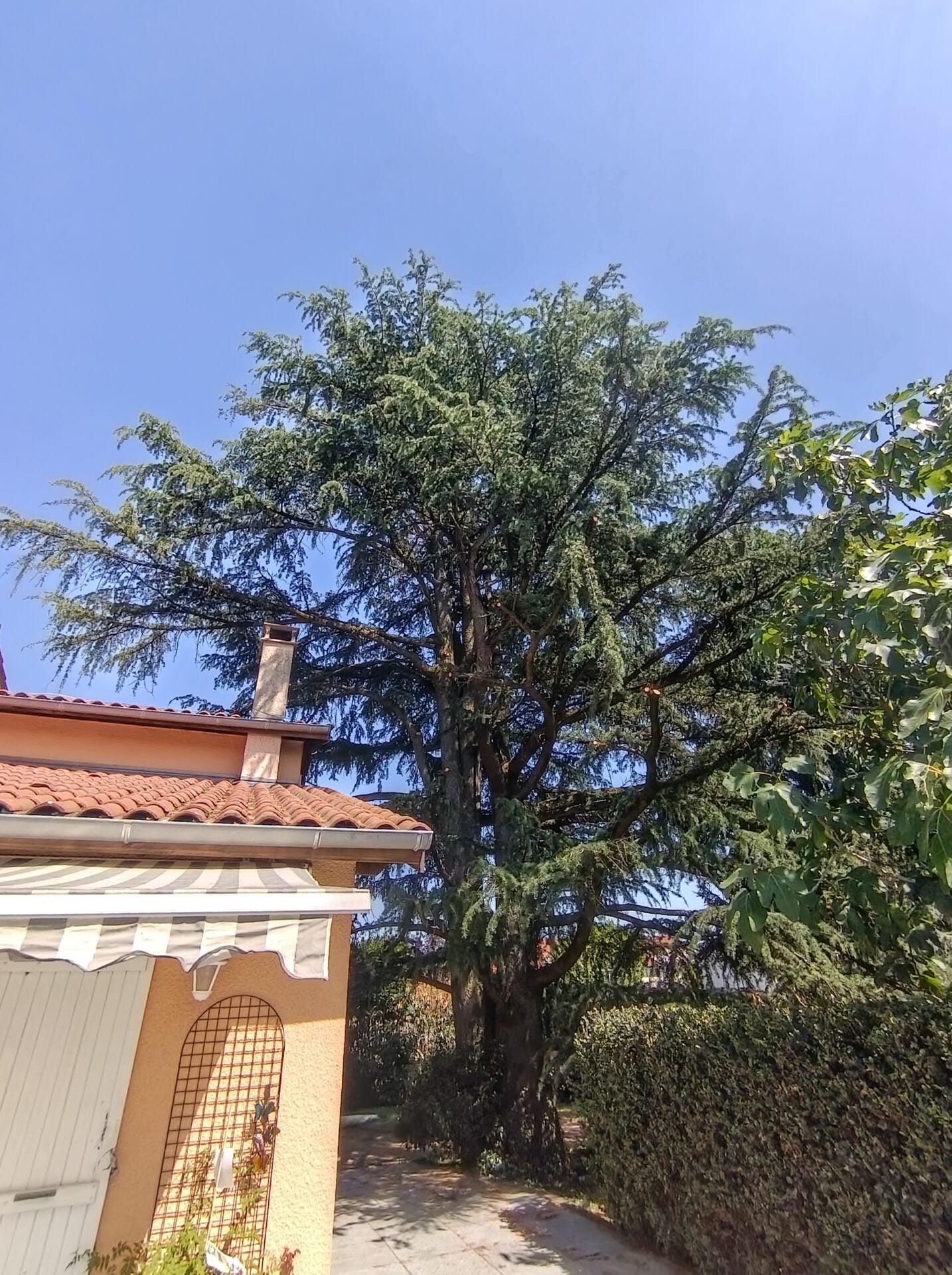 Img 20260620 160945