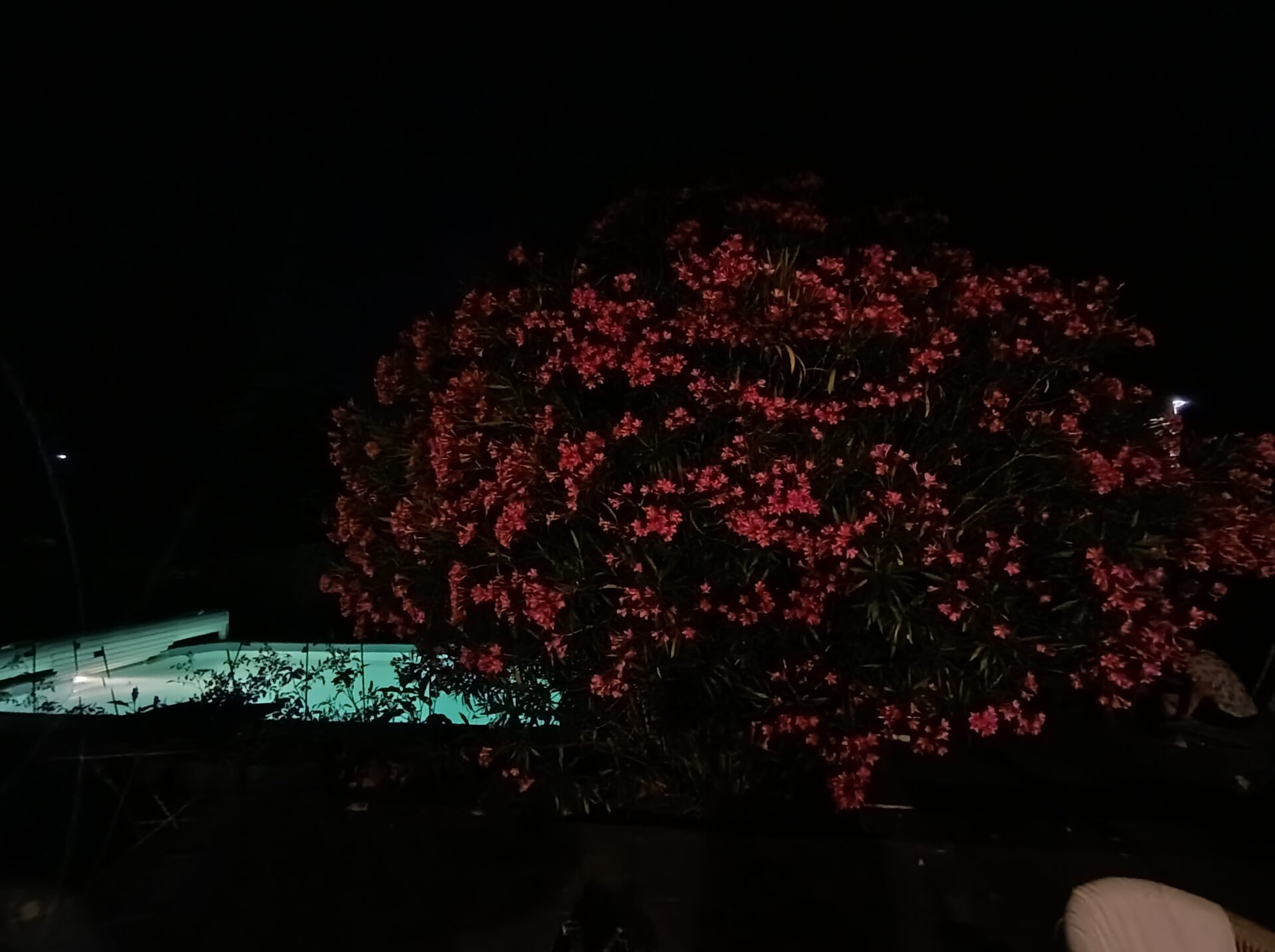Img 20260620 230414