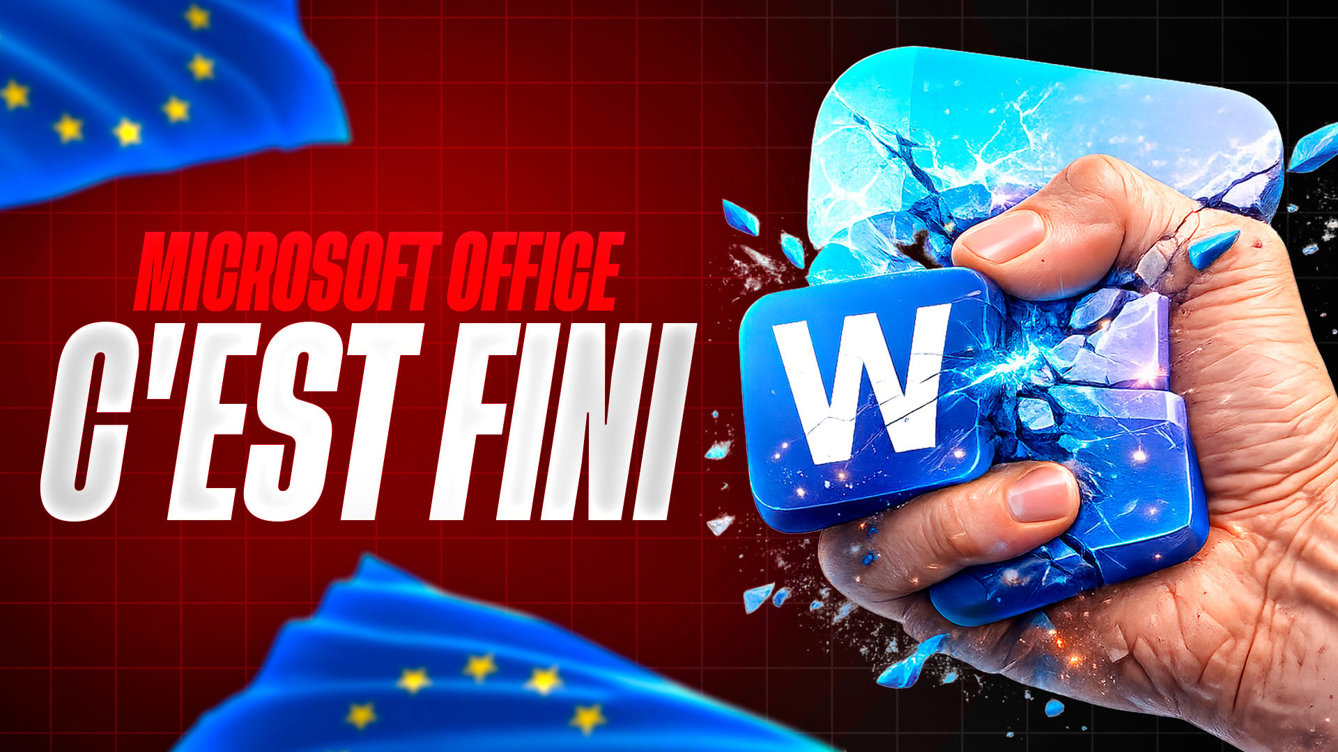 Microsoft Office Fini