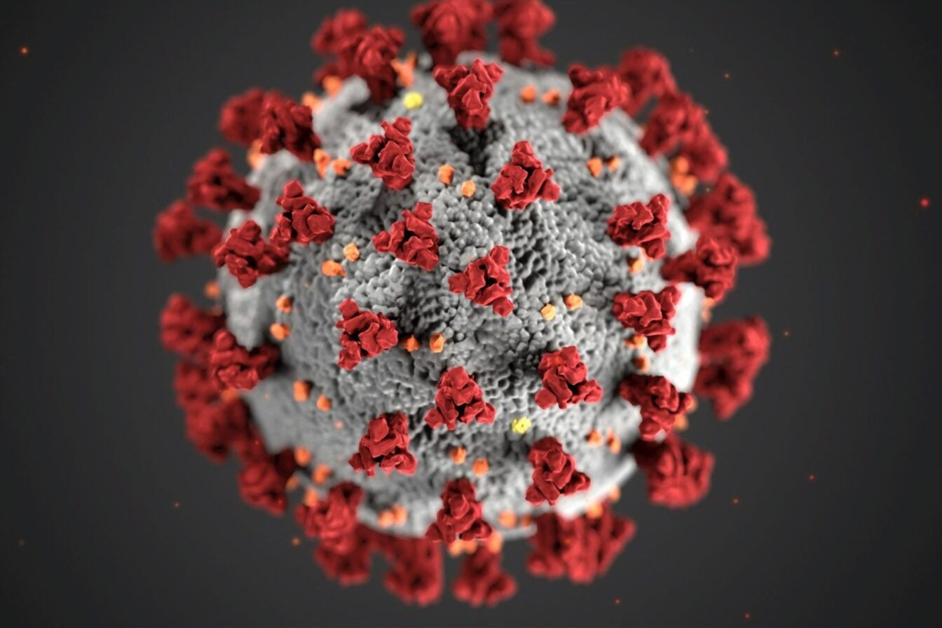 Virus