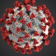 Virus