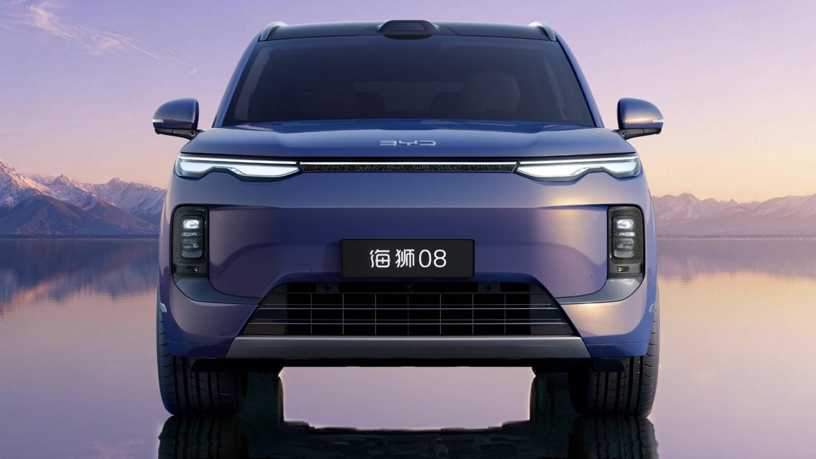 Çin elektrikli arabaları özerklik için çok mu fazla çaba harcıyor?