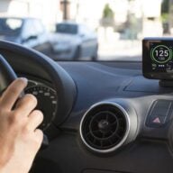 Coyote Illustration
