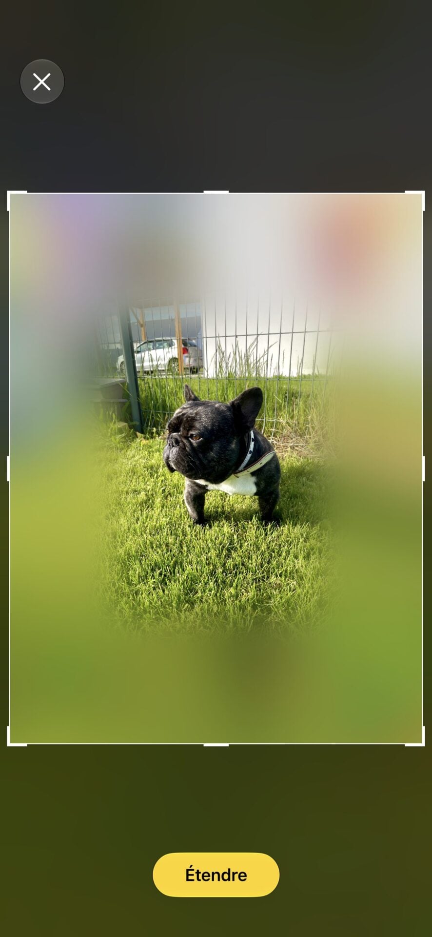 iOS 27 Photos Apple Intelligence 4