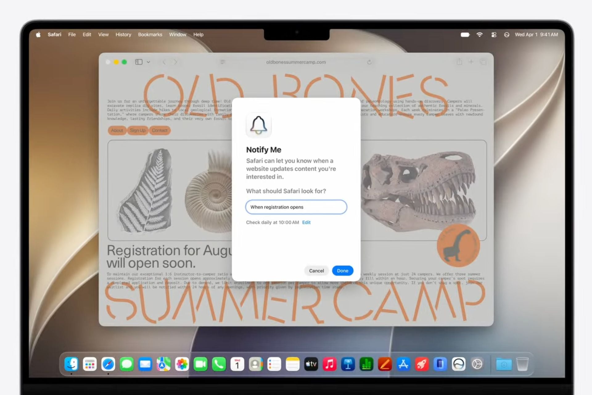Safari