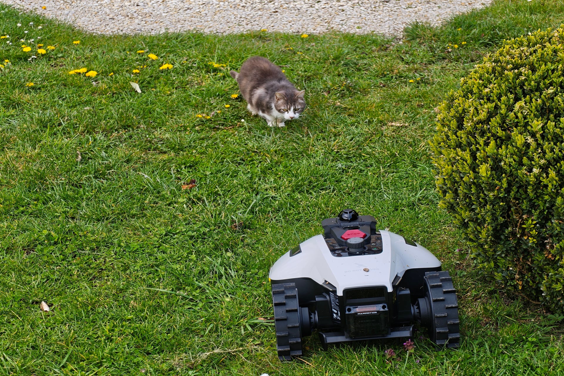 Test robot tondeuse Yuka LMini 2 1000 LiDAR cartographie automatique et tonte hors carte zones interdites