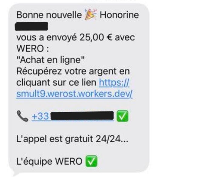 Arnaque Wero 1