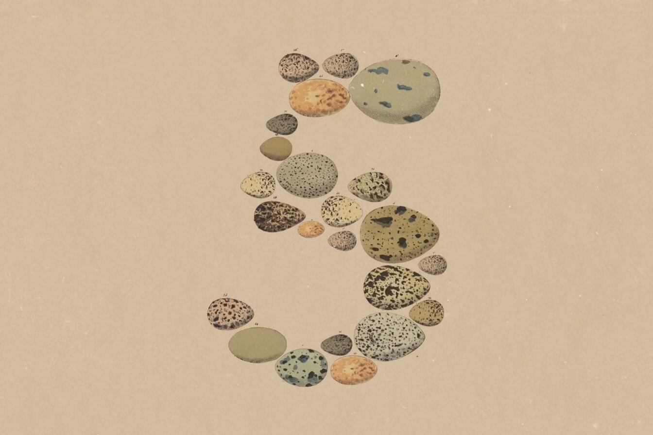 Claude Opus 5 : ce qu’Anthropic ne vous a pas dit sur sa nouvelle IA