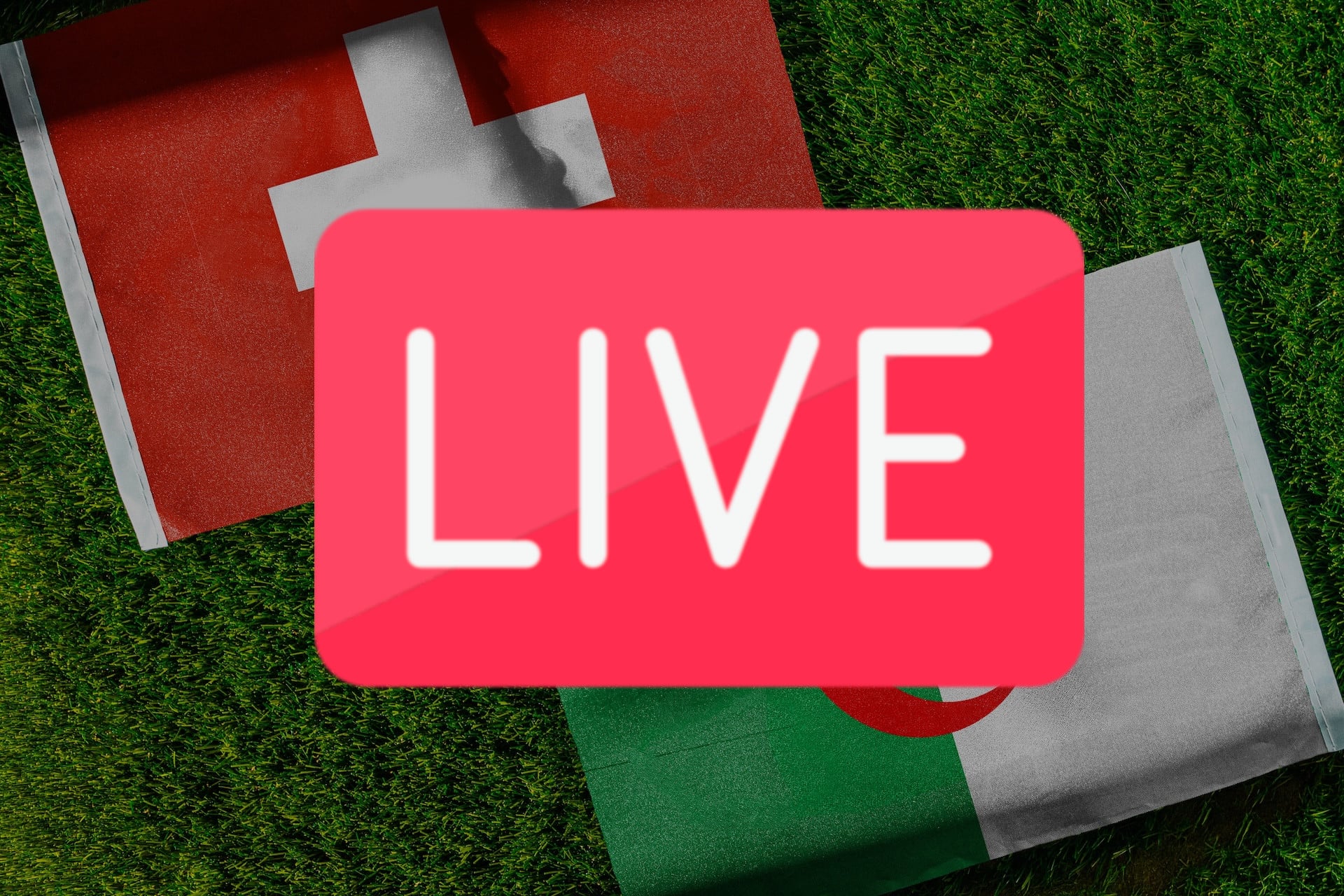 Streaming Gratuit Suisse Algérie Coupe Du Monde 2026