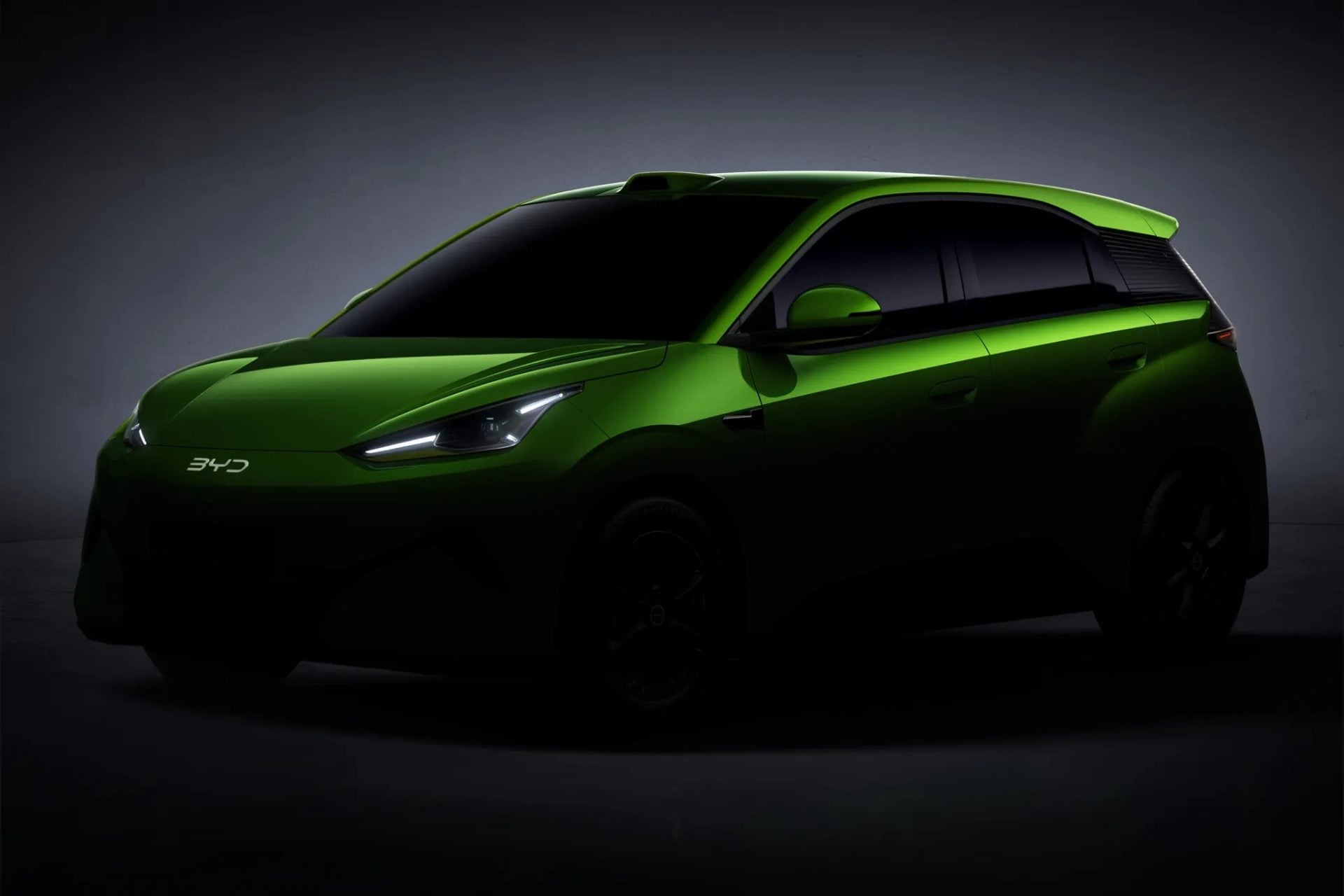 Byd Dolphin Surf (1)