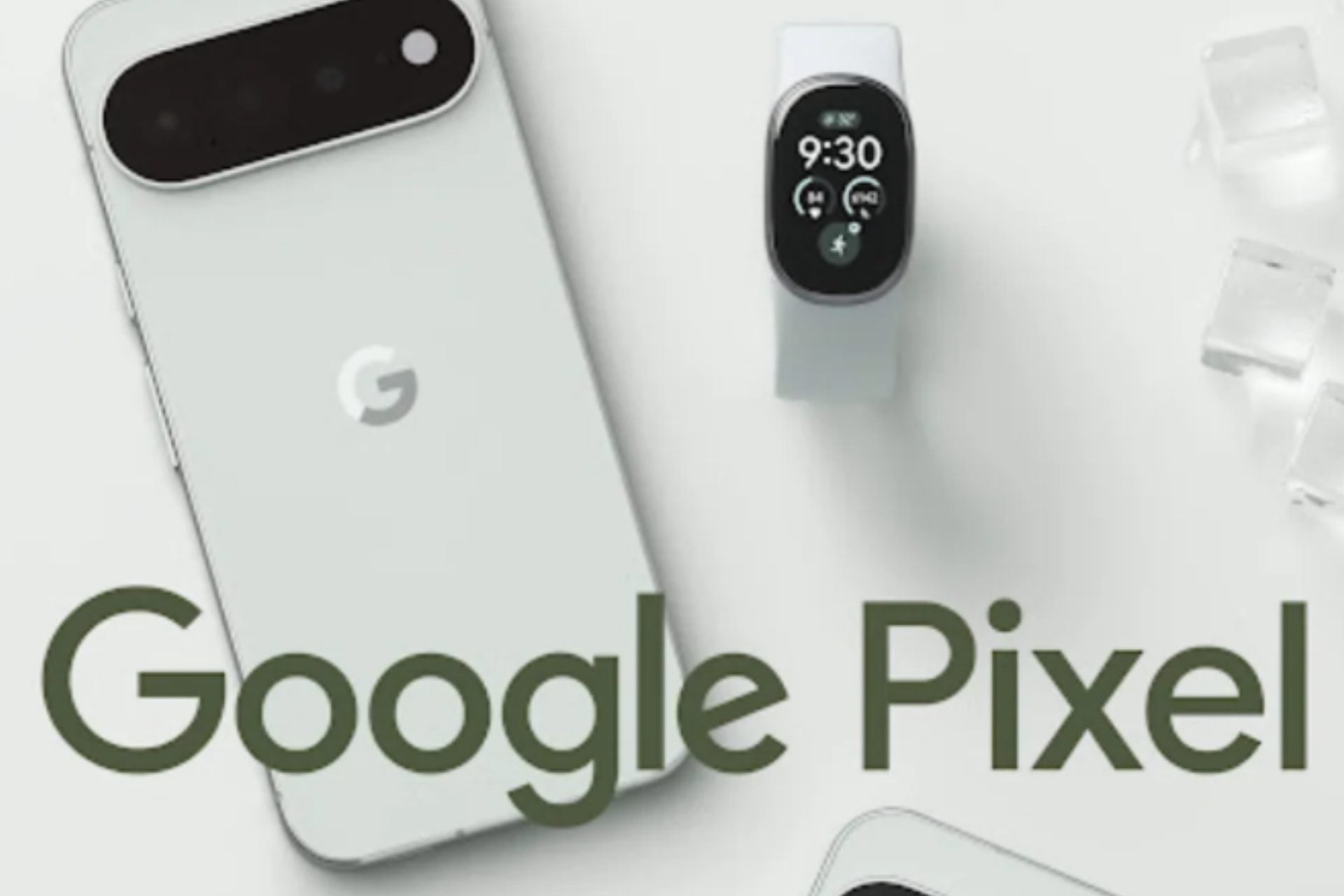 Google Fitbit