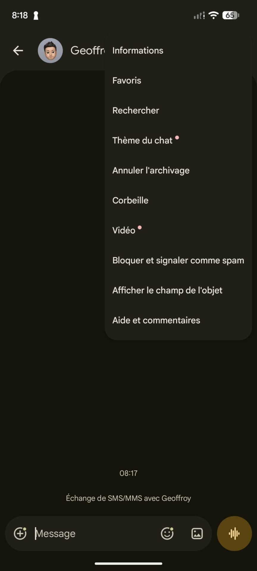 Google Messages Thèmes 1