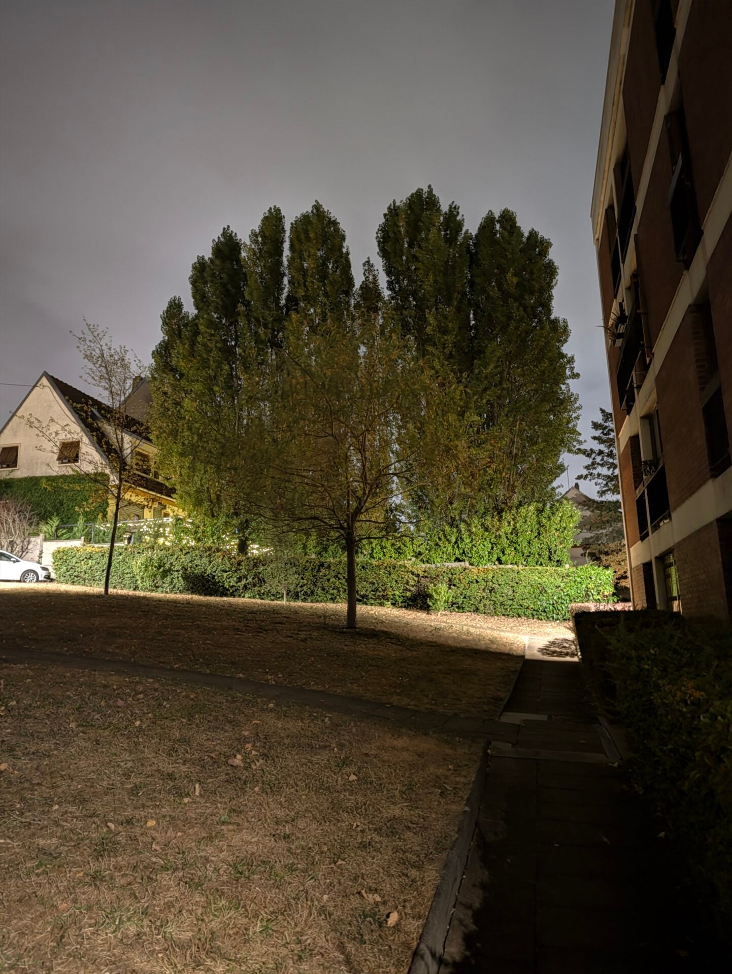 Pixel 11 Pro Grand Angle (1)