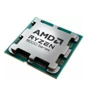 AMD Ryzen 9 9900X3D