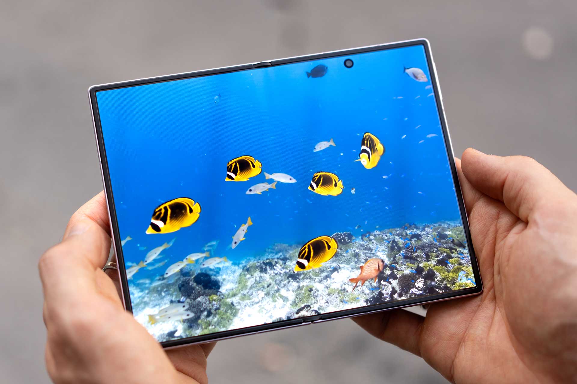 Samsung Galaxy Z Fold 8 Ecran Interne 1