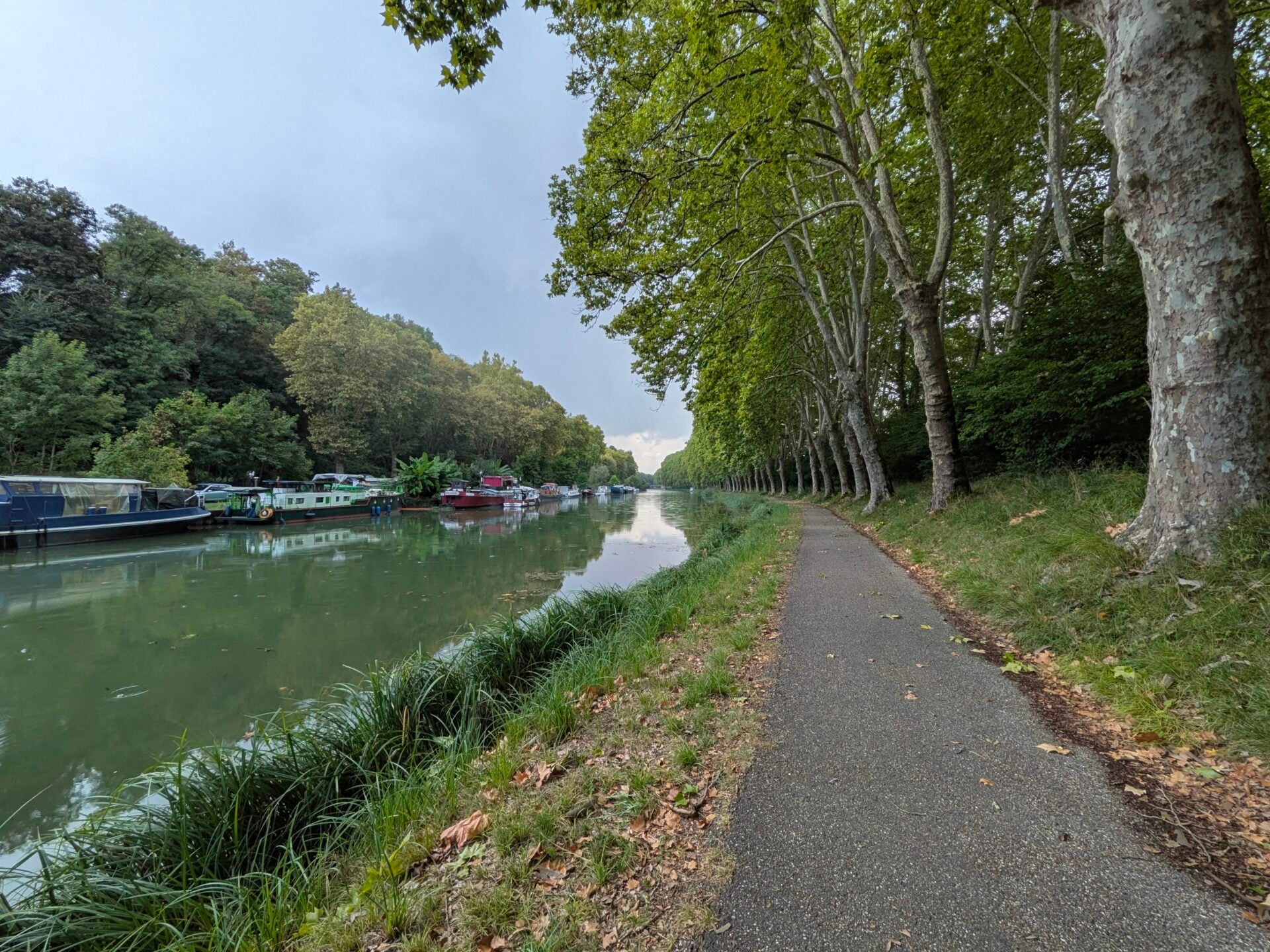 Google Pixel 11 Ultra Grand Angle 2