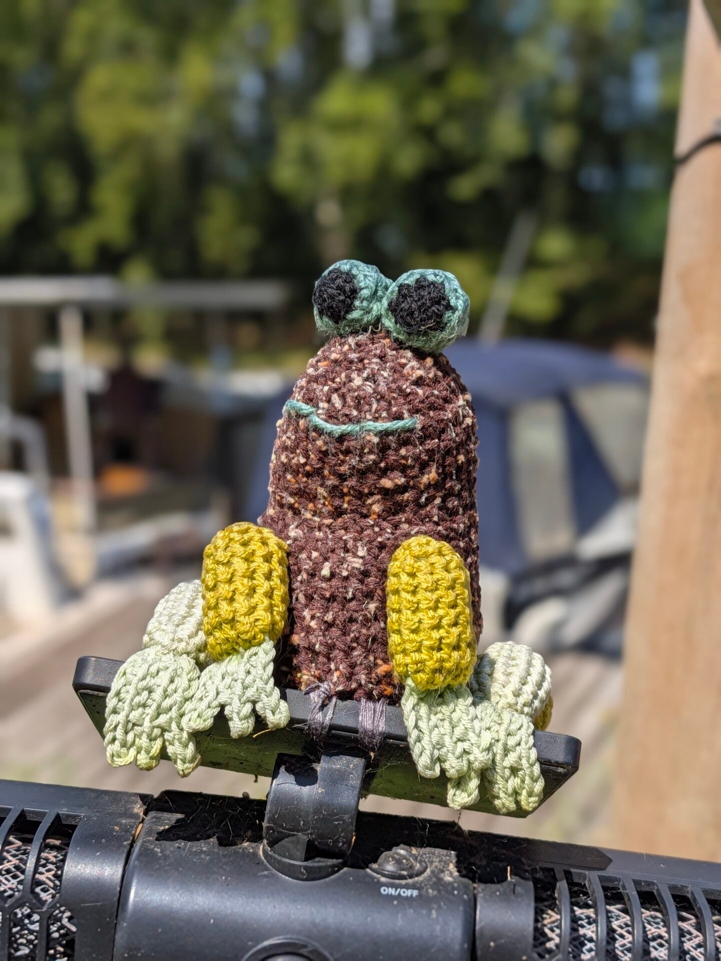 Pixel 11 Teleobjectif X2 Portrait