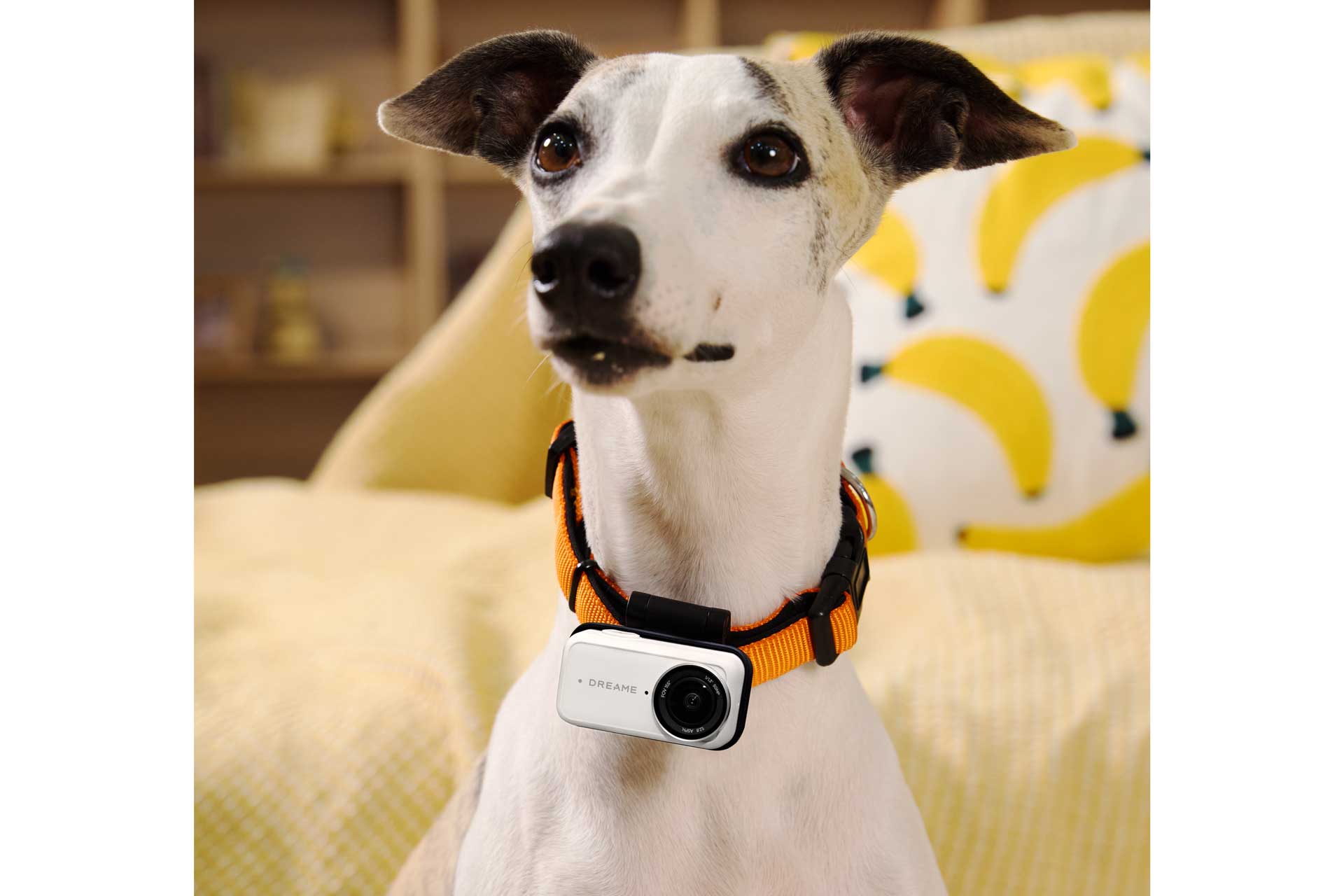 Dreame Camera Leaptic Pet