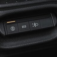 Dacia Spring (3)
