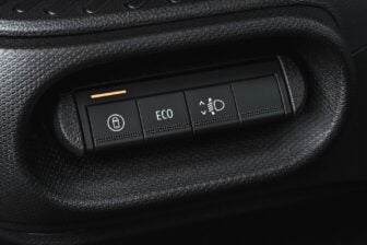 Dacia Spring (3)