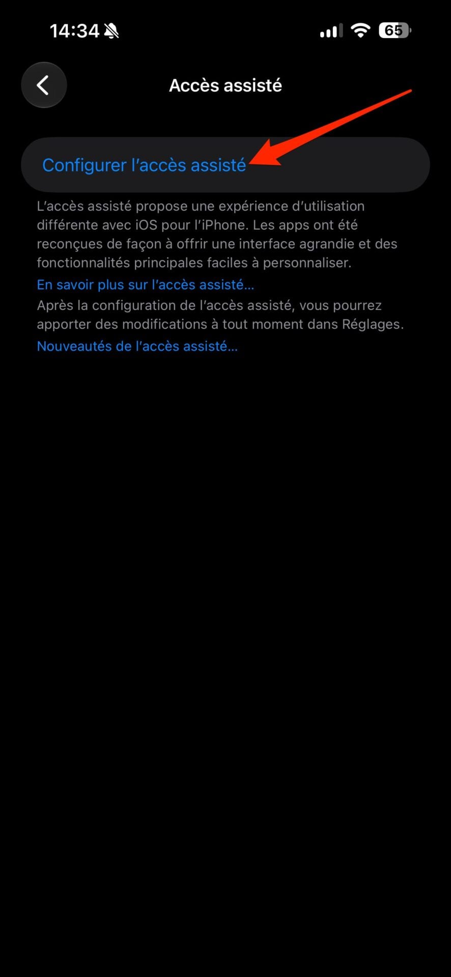 iOS Transformer iPhone Lecteur Multimédia Sécurisé Accès Assisté 3