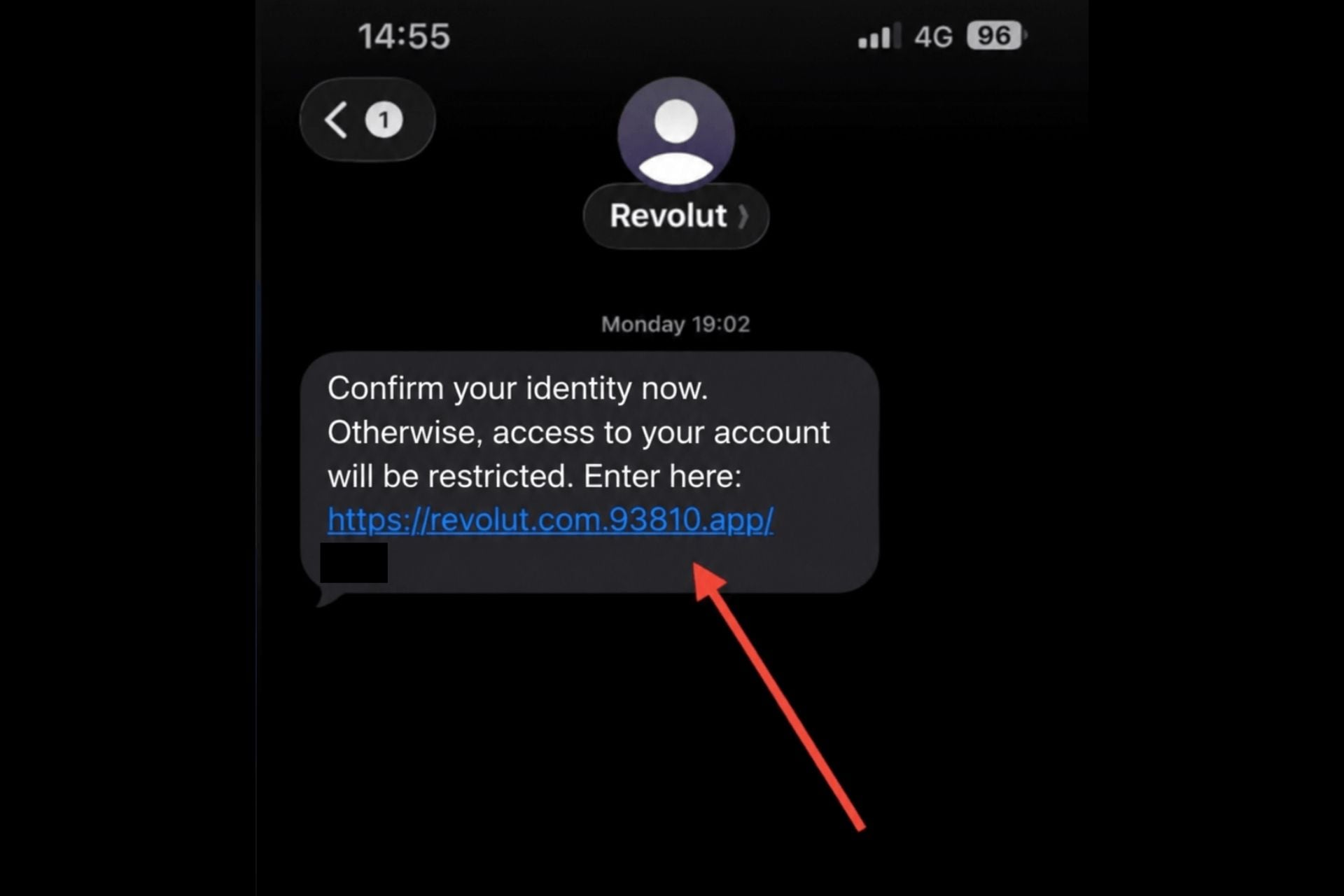 Revolut Fuite Données Arnaque