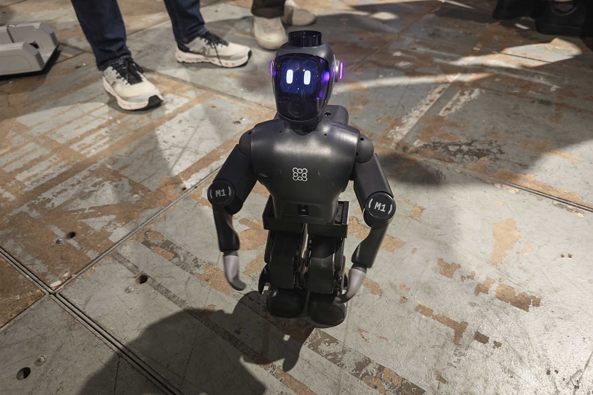Robot Ifa 2026